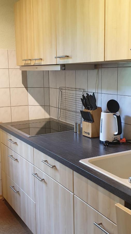 Ferienwohnung An Der Begerburg Дрезден Екстер'єр фото
